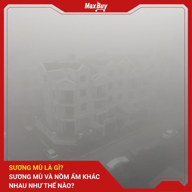 Sương Mù Là Gì? Sương Mù Và Nồm Ẩm Khác Nhau Như Thế Nào? 