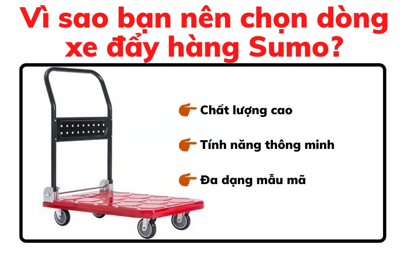 Vì sao bạn nên chọn dòng xe đẩy hàng Sumo?