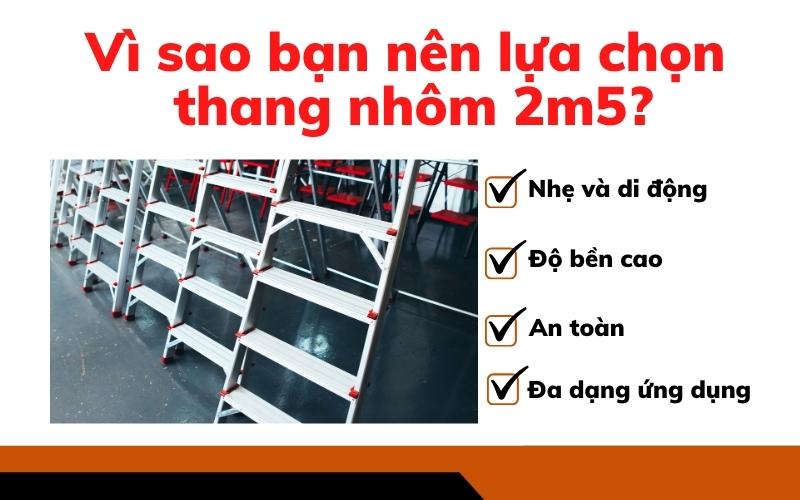 Vì sao bạn nên lựa chọn thang nhôm 2m5?