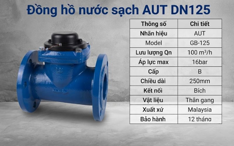 dong-ho-nuoc-sach-aut-dn125-maxbuy-1